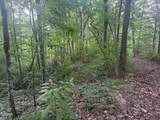 7.36 acres Panther Creek Road - Photo 20
