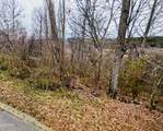 Lot 141 Low Valley Rd Road - Photo 4