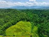 1A 4255 Lower Powdermill Road - Photo 13