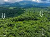1A 4255 Lower Powdermill Road - Photo 32