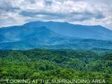 1A 4255 Lower Powdermill Road - Photo 8