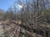 Lot 27 Blue Springs Way - Photo 10