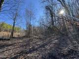 Lot 27 Blue Springs Way - Photo 11