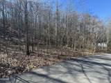 Lot 27 Blue Springs Way - Photo 3