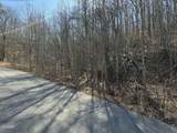 Lot 27 Blue Springs Way - Photo 6