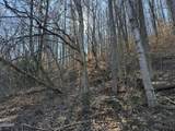 Lot 27 Blue Springs Way - Photo 8