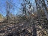 Lot 27 Blue Springs Way - Photo 9
