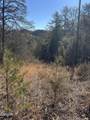 Tract 4 Rule Hollow Road - Photo 11