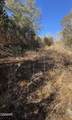Tract 4 Rule Hollow Road - Photo 2