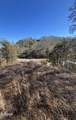 Tract 4 Rule Hollow Road - Photo 5