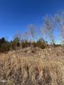 Tract 4 Rule Hollow Road - Photo 7
