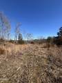 Tract 4 Rule Hollow Road - Photo 8