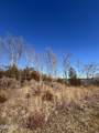 Tract 4 Rule Hollow Road - Photo 9