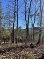 1008 Country Mountain Road - Photo 11