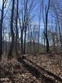 1008 Country Mountain Road - Photo 13
