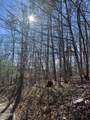 1008 Country Mountain Road - Photo 9