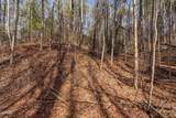 Lot 12 Paint Horse Way - Photo 13