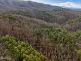 Lot 12 Paint Horse Way - Photo 22