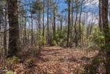 Lot 12 Paint Horse Way - Photo 4