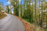 Lot 9A-1 Silverbell Heights Lane - Photo 4