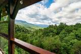 842 Vixen Run - Photo 10