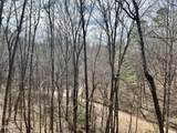 1520 Ski View Lane - Photo 29