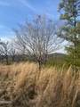 Lot 071 Goose Gap - Photo 17