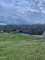 Lot 071 Goose Gap - Photo 31