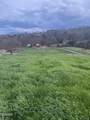Lot 071 Goose Gap - Photo 37