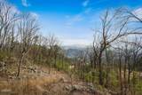 1852 Mountain Ash Way - Photo 62