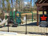 Lot 57 Shoreline Vista - Photo 14