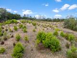 Lots 3,4,5 Gists Creek - Photo 10