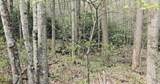 4046 Forest Trails Drive - Photo 14