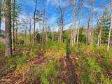 Lot 3 Mountain Ash Way - Photo 6