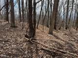 Lot12 Swann Saddle Lane - Photo 4