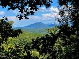 2251 Upper Middle Creek Road - Photo 3