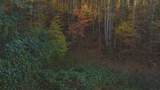 410 Seay Hollow Road - Photo 12