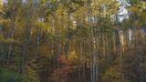 410 Seay Hollow Road - Photo 13