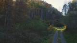 410 Seay Hollow Road - Photo 20