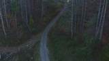 410 Seay Hollow Road - Photo 24