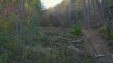 410 Seay Hollow Road - Photo 25