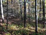 410 Seay Hollow Road - Photo 30