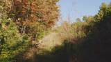 410 Seay Hollow Road - Photo 6