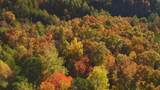 410 Seay Hollow Road - Photo 7
