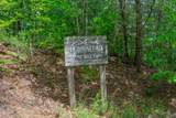 Lot 123 Long Rifle Road - Photo 11