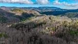 Lot 123 Long Rifle Road - Photo 4