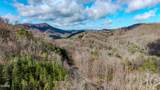 Lot 123 Long Rifle Road - Photo 6