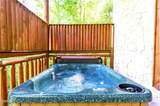 4319 Forest Ridge Way - Photo 39