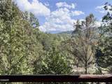 4319 Forest Ridge Way - Photo 42