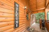 4319 Forest Ridge Way - Photo 6